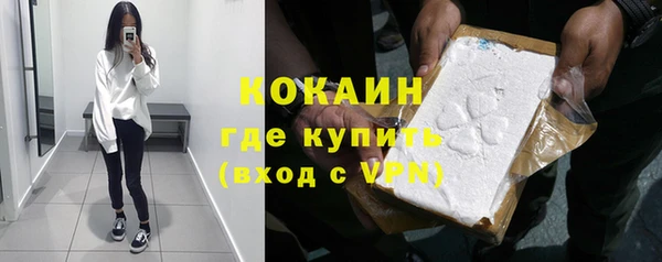 дмт Новодвинск