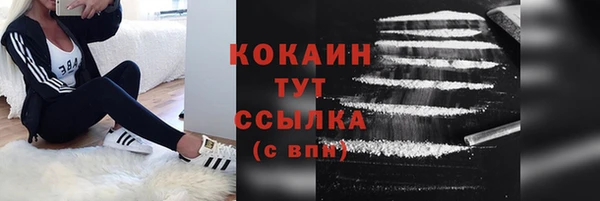 сатива Новокубанск