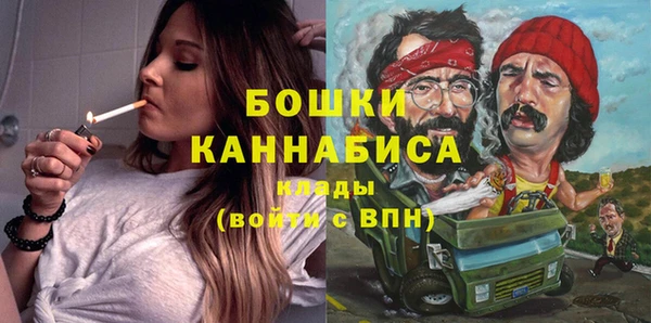 сатива Новокубанск