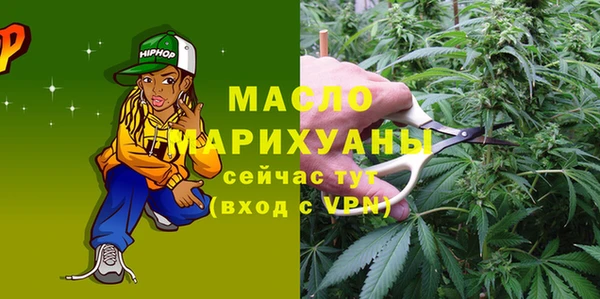 сатива Новокубанск