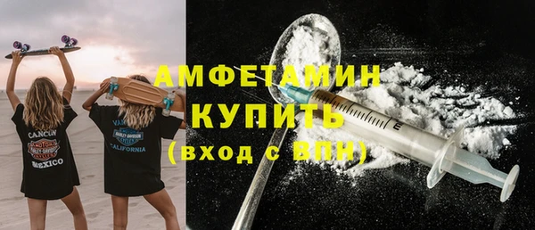 сатива Новокубанск