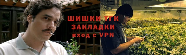 сатива Новокубанск