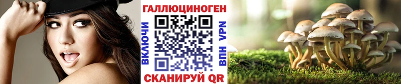 Псилоцибиновые грибы Cubensis дарнет шоп Ханты-Мансийск